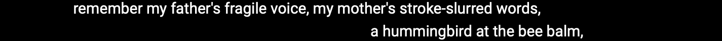 Self-Portrait with Origin Story stanza 6